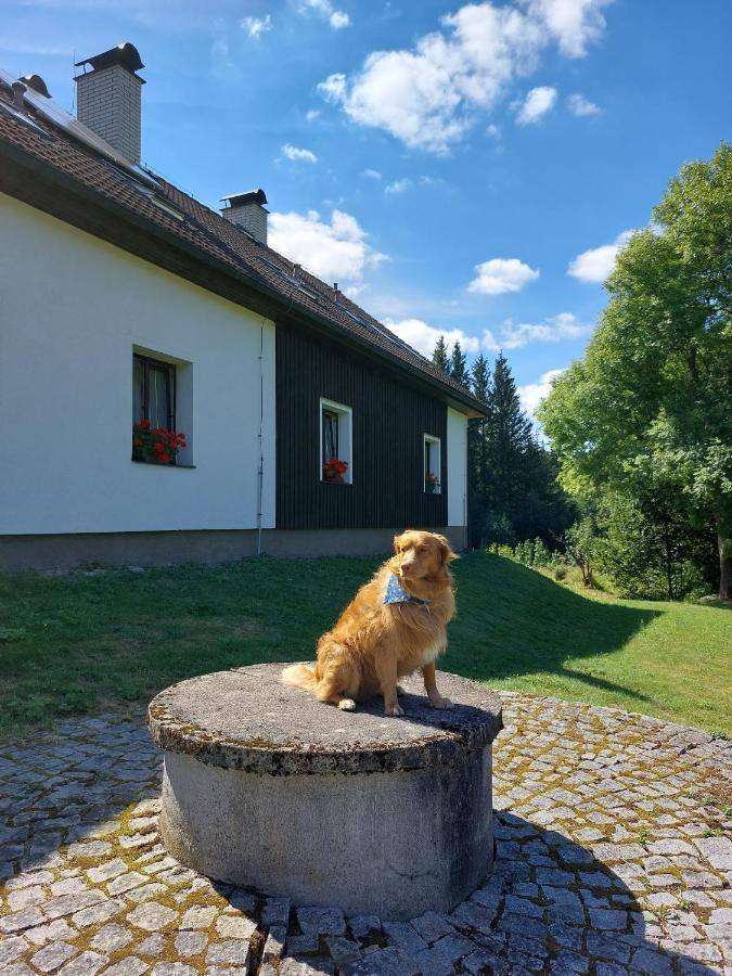Penzion Na Vysluni Strasin Zewnętrze zdjęcie