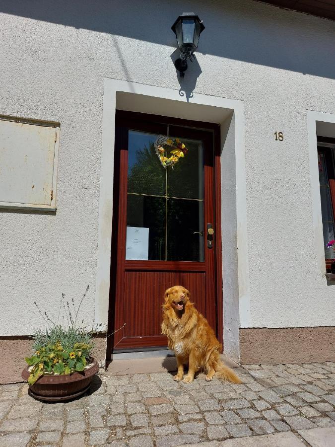 Penzion Na Vysluni Strasin Zewnętrze zdjęcie